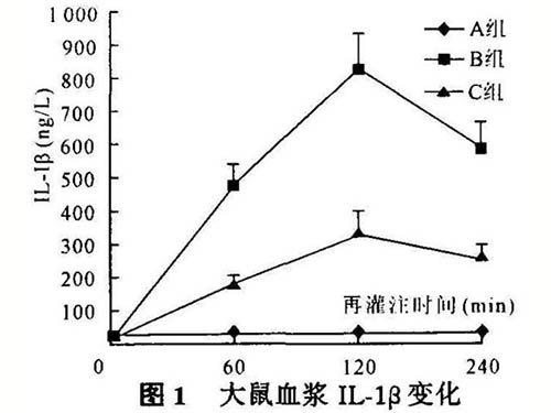 白細胞介素-1介導(dǎo)骨骼肌缺血再灌注損傷的