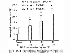 中性粒細胞激活及其與內皮細胞粘附的關系